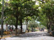 No abrirán panteones de Cancún por Día de Muertos Panteones Día de Muertos