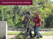 Implementa gobierno de Laura Beristain intensa reforestación en Solidaridad