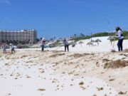 BJ | Retiraron 7 mil metros cúbicos de sargazo de playas de Cancún