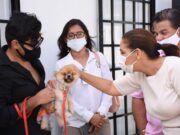 BJ | Promueve gobierno de Mara Lezama cuidado responsable de mascotas en Cancún Cuidado mascotas Cancún