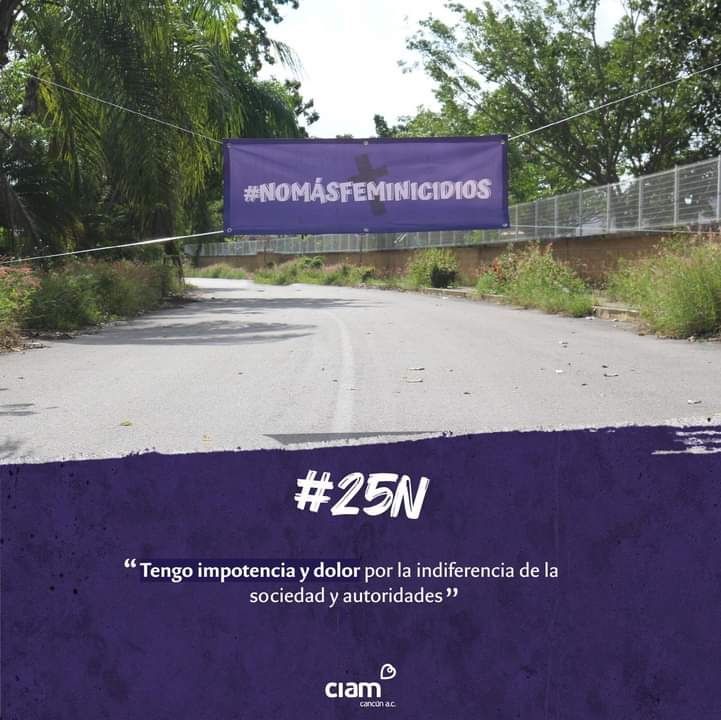Alto al feminicidio Frenar feminicidios