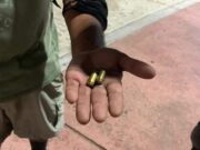Manifestación contra feminicidios termina con disparos en Cancún | Mara asegura investigación para esclarecer los hechos Balas en Palacio Municipal de Benito Juárez.