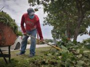 Solidaridad | Redobla esfuerzo “Manos Solidarias” para limpiar el municipio Manos Solidarias