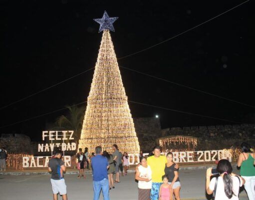 Bacalar | Enciende Alexander Zetina majestuoso árbol de Navidad Bacalar árbol de navidad