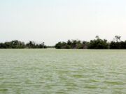 Contaminan transportistas reserva ecológica de Laguna Chacmochuch