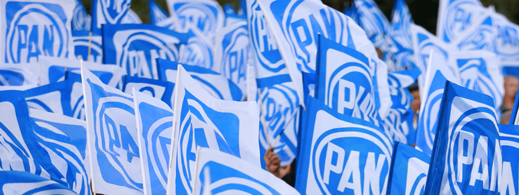 Banderas PAN