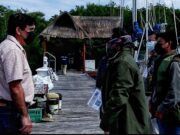 IM | Buscan a manatí para chequeo médico
