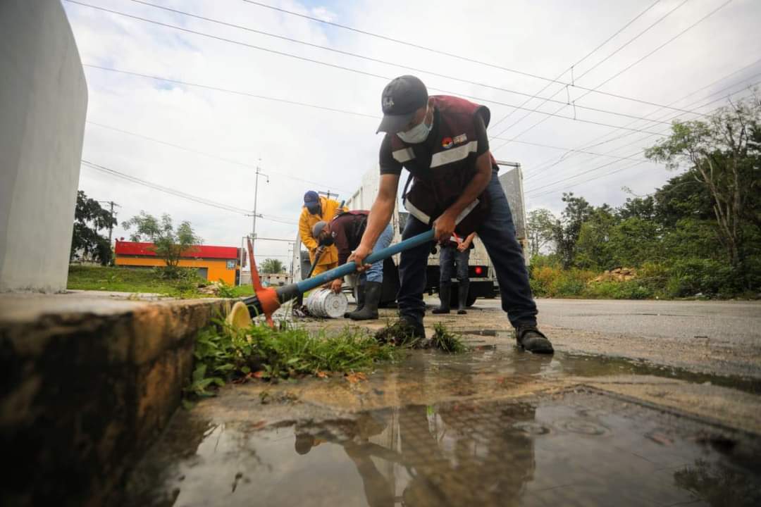 TRABAJOS 1