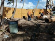 Denuncian a inmobiliaria por delitos contra el medio ambiente en Tulum