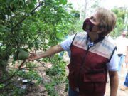 Gobierno de Solidaridad refuerza el desarrollo comunitario con «Huertos de Traspatio»