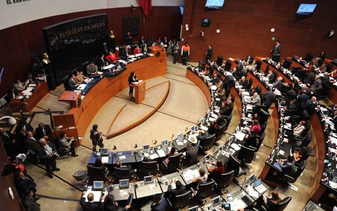senado bueno