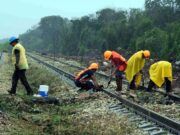 Dan suspensión definitiva contra Tren Maya en Yucatán