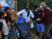Solidaridad | Exitosa participación ciudadana en jornada de limpieza de playas y cenotes