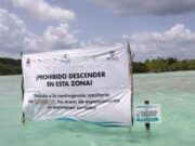 Bacalar: con aumento de COVID; en Solidaridad no llegan vacunas