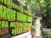 Un nuevo Eco-Rescate de ECOCE, ahora en Cancún