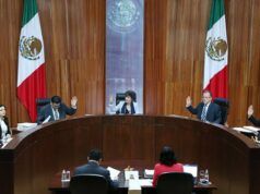Candidaturas a diputaciones federales serán definidas en tribunales