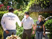 Tulum | Vecinos de Akumal y gobierno de Tulum suman esfuerzo por arribo de sargazo