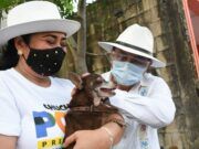 BJ| Crearé un centro de atención y convivencia canina: Chucho Pool