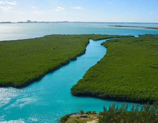 Contaminación y pesca furtiva amenazan laguna Nichupté