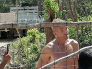 Especial | Siguen invasiones en Tulum, «es tierra de nadie», afirma empresario