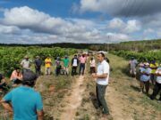D02 | Empobreció gobierno federal a campesinos: Alonso Ovando
