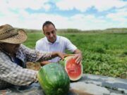 Urge gestión eficaz de recursos federales para atender comunidades rurales: Alonso Ovando