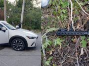 Puerto Morelos | Amenaza con armas largas y persecución, previo a evento de Blanca Merari Tziu
