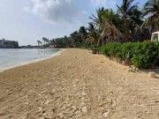 IM | Playas de Isla Mujeres libres de sargazo