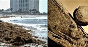 Naderías Totales | Sísifo y la mancha marrón que crece y amenaza al Caribe