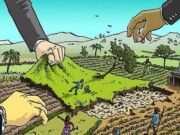 Opinión | La propiedad y el uso de la tierra ejidal | Hugo Alday Nieto