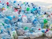 Bacalar | Programan intercambio de alimentos por residuos en Bacalar