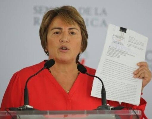 Plantean de nuevo causales para anular elección en Solidaridad