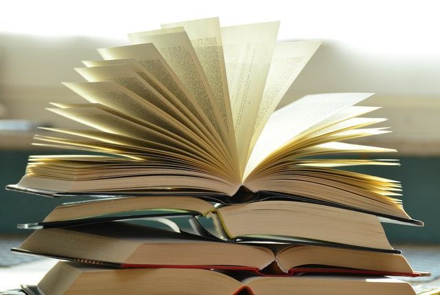 libro_politico_1