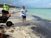 IM | Mantienen en Isla Mujeres trabajos de limpieza de playas