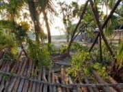 Denuncian ecocidio de grupo Rosa Negra en Tulum
