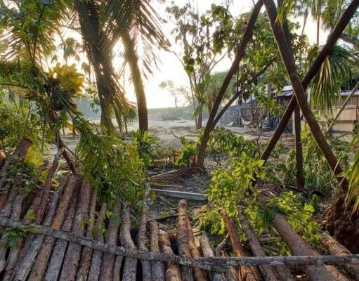 Denuncian ecocidio de grupo Rosa Negra en Tulum