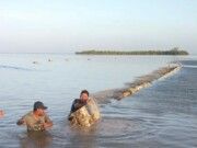 Reclaman habitantes de Holbox falta de agua y recoja de basura