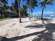 IM | Tras el paso de «Grace» playas de Isla Mujeres listas para recibir a bañistas
