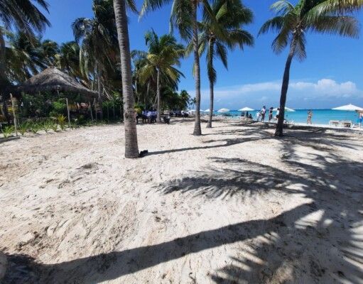 IM | Tras el paso de «Grace» playas de Isla Mujeres listas para recibir a bañistas