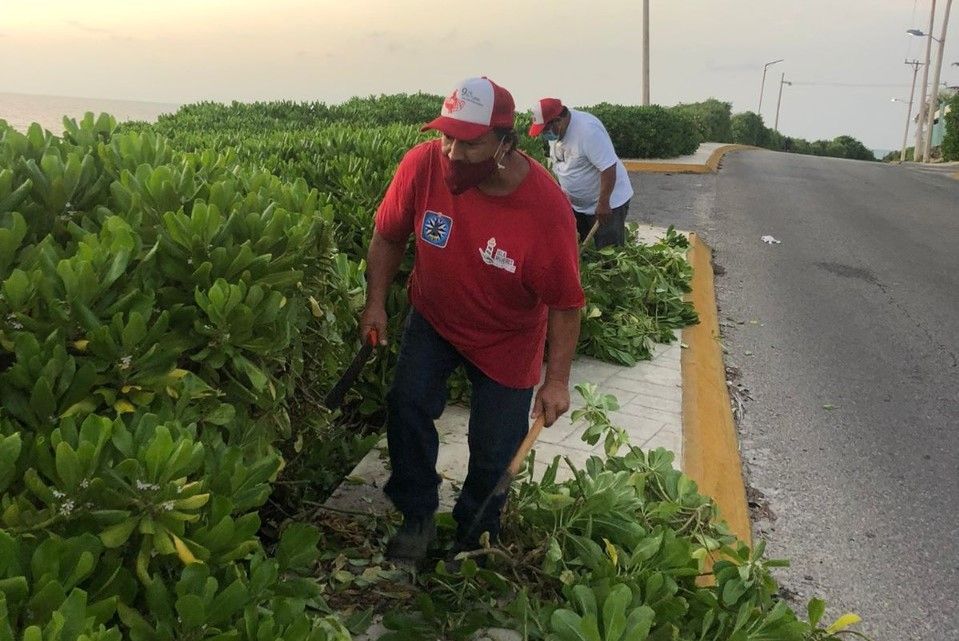 jardines_isla_mujeres