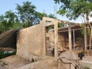 Pide ONG de rescate de perros 80 mil pesos para reacondicionar sus instalaciones