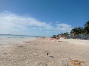 Playas de Tulum lucen su mejor rostro en tres años