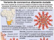 Omicron es el nombre de la nueva variante «preocupante» del Covid-19