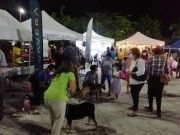 Organizan asociaciones bazar para apoyo en despensas y adopción canina
