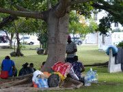 Revela sondeo que migrantes desean quedarse en QRoo