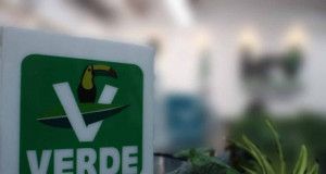 Pájaros en el Alambre | Hay candidata del PVEM en distrito 10 de Solidaridad