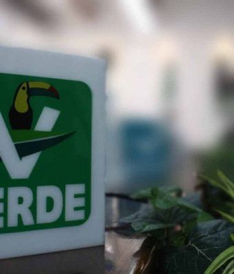 Pájaros en el Alambre | Hay candidata del PVEM en distrito 10 de Solidaridad