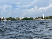 Inicia queja de oficio Cdheqroo por tala de árboles en Chetumal