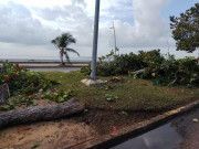 Denuncian ecocidio en Chetumal por obras de remodelación