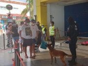 Mantiene Unidad Canina estricta vigilancia en muelles y terminales de autobuses